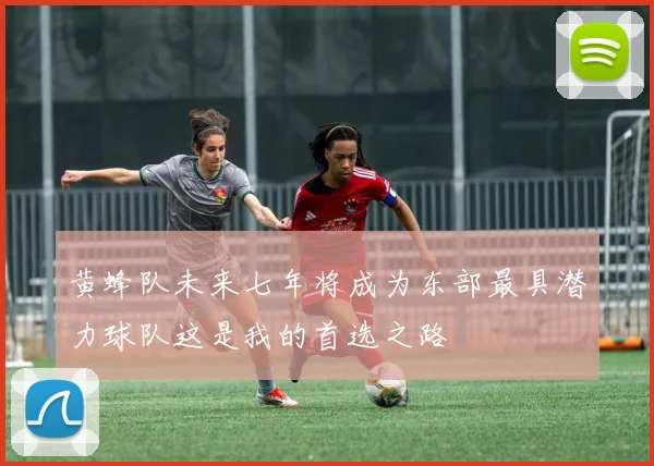 黄蜂队未来七年将成为东部最具潜力球队这是我的首选之路
